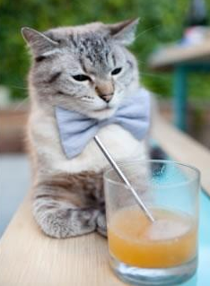 法甲球员认知超负荷状态下的技术动作稳定性评估