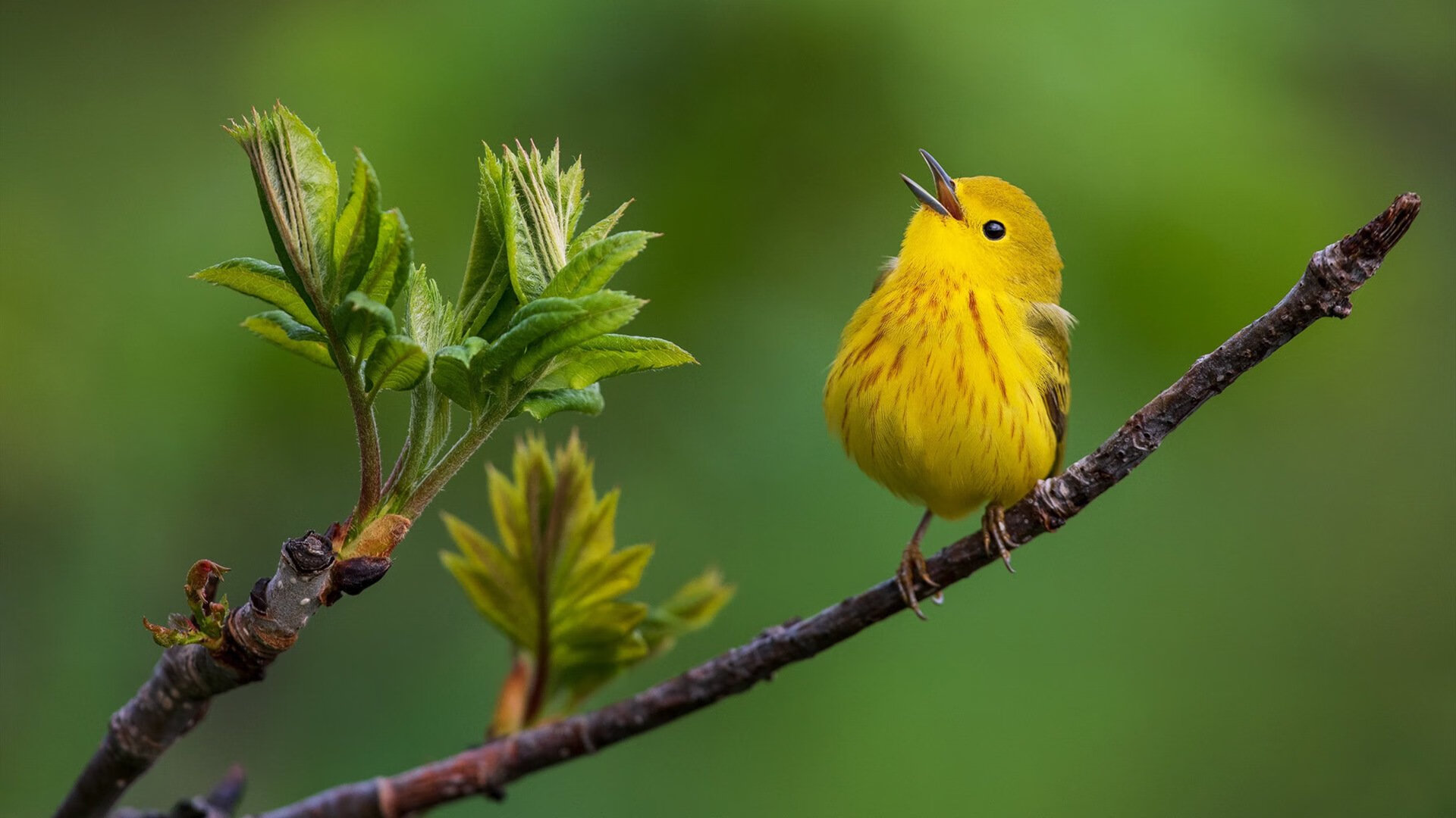 法甲青训心理韧性培养对球员稳定表现的影响,法甲青训心理韧性培养对球员稳定表现的影响有哪些