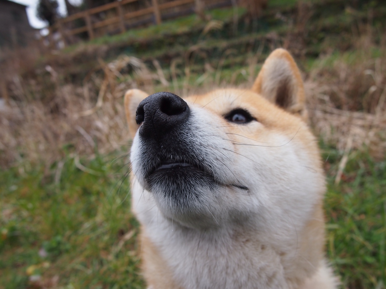 英超球队动态体能管理提升赛季表现稳定性,英超球队规则