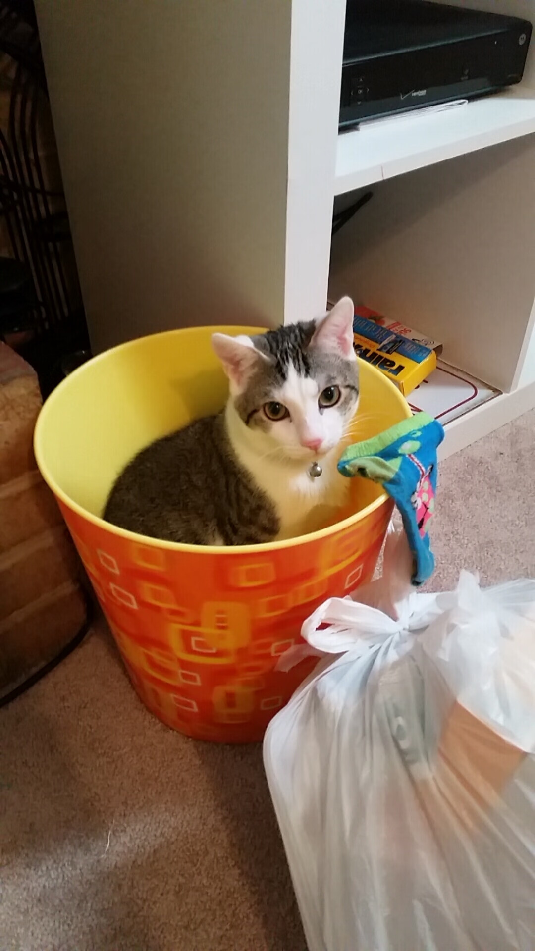 足球文化交流：不同国家之间的友谊比赛，足球国际友谊赛是什么意思