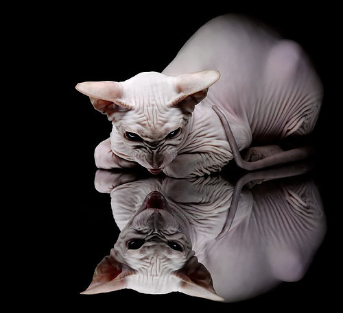 开云体育在线官网-东亚杯中国女足爆冷 球员状态明显下滑，东亚杯中国女足爆冷 球员状态明显下滑的原因