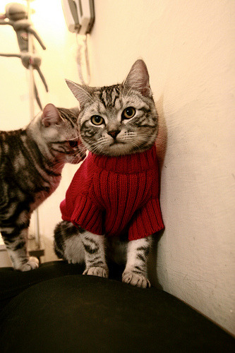 山西龙狮坚持每日高强度训练保持巅峰状态,龙狮运动基本动作