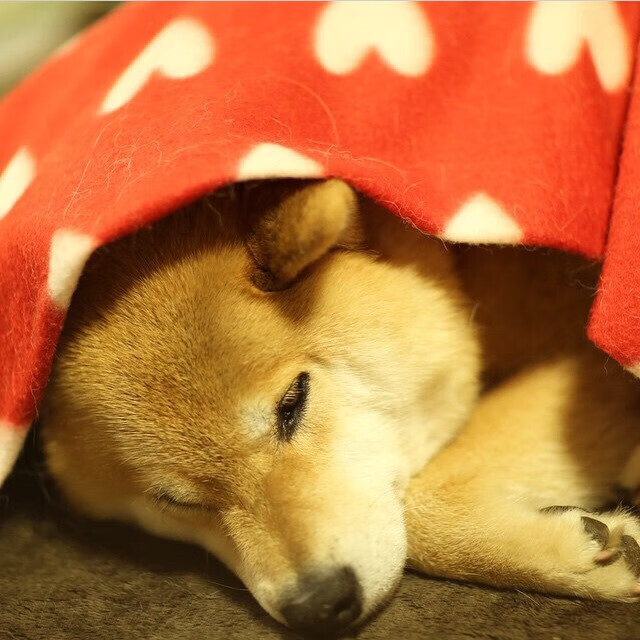 中国队冲刺阶段技压群雄,冲击中国足球之路