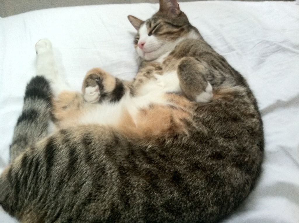 中国队冲刺阶段技压群雄,冲击中国足球之路