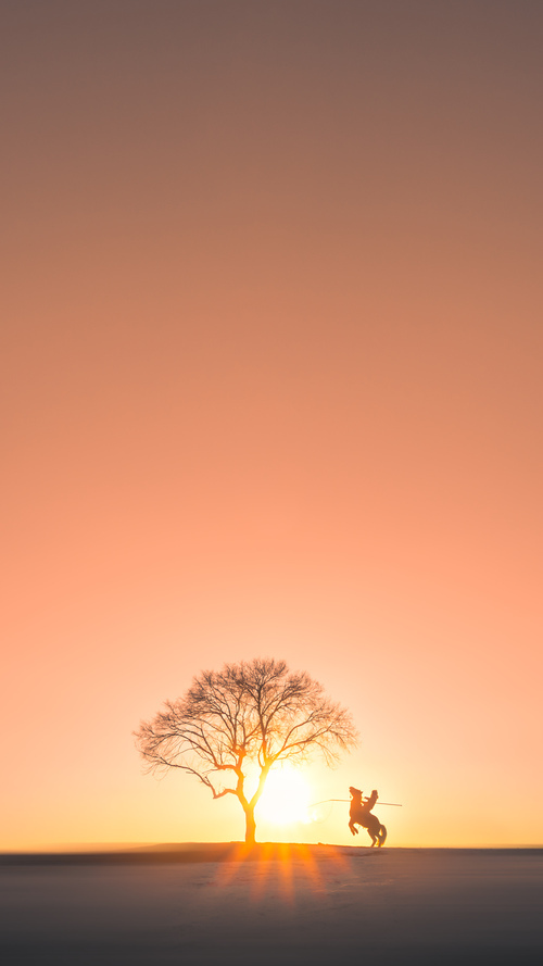 丹·卡特:用战术智慧与精确的脚法,改写全黑队历史,丹特巅峰水平