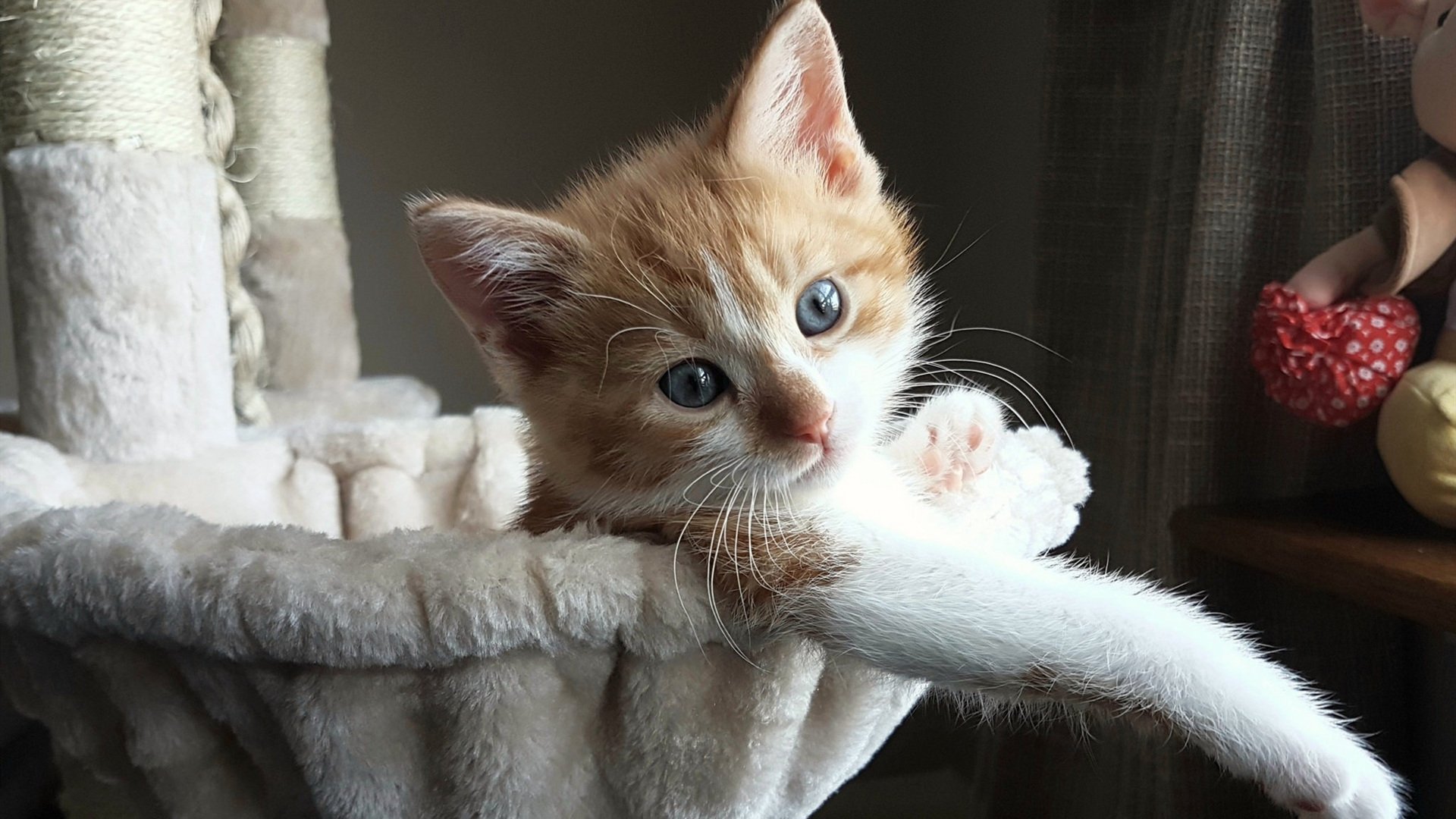 开云体育足球-凯瑟琳·伯科夫稳步提升成绩赢得喝彩，凯特琳·伯尔斯