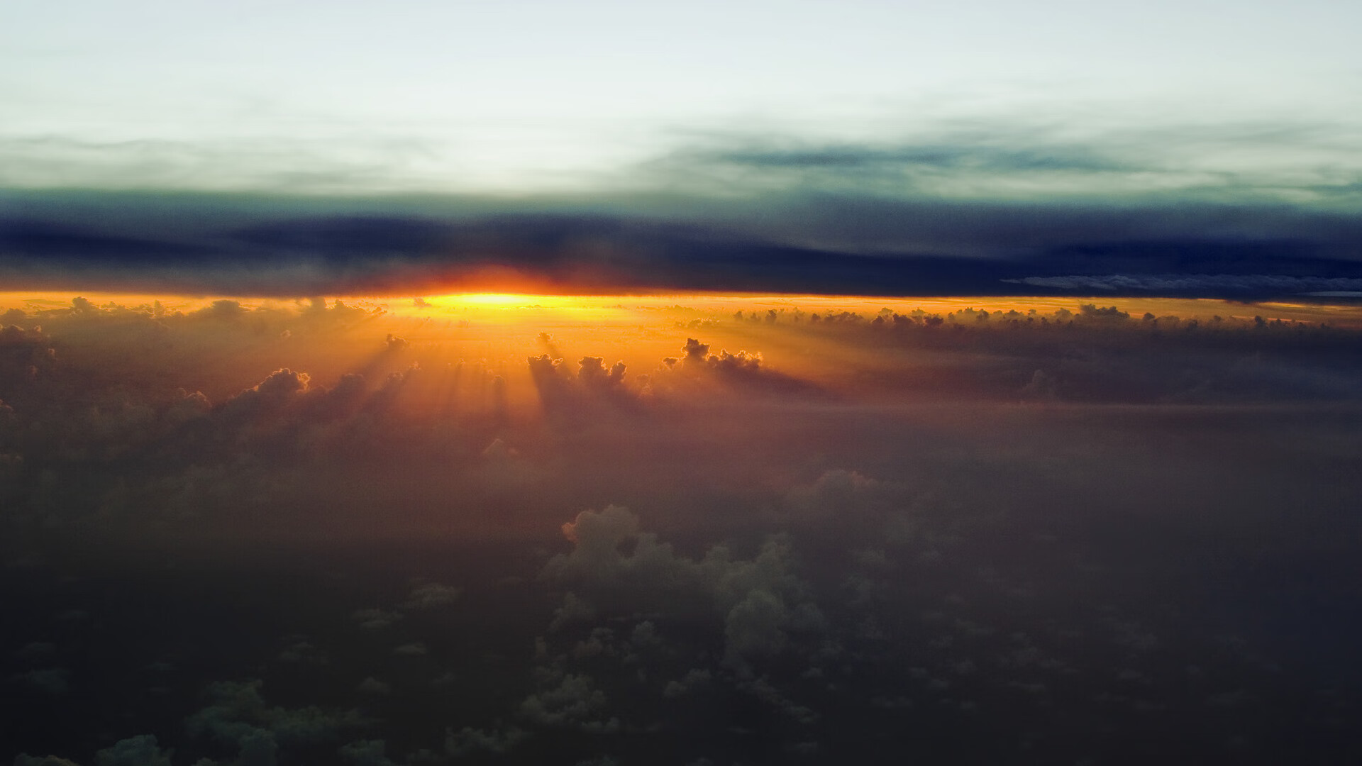 史密斯女子50米仰泳决赛夺冠有望,美国女子仰泳史密斯