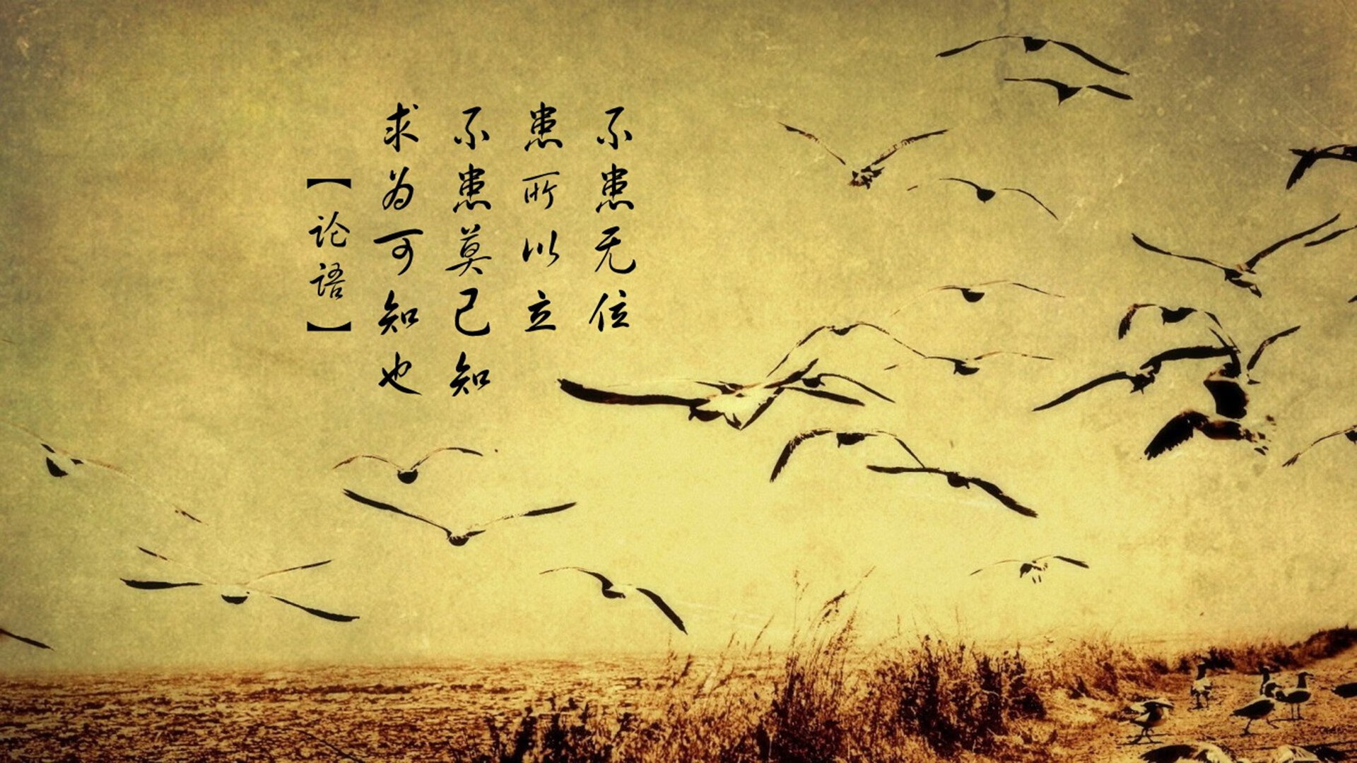 欧洲杯变阵奇兵：战术创新带来精彩瞬间！，欧洲杯阵出炉