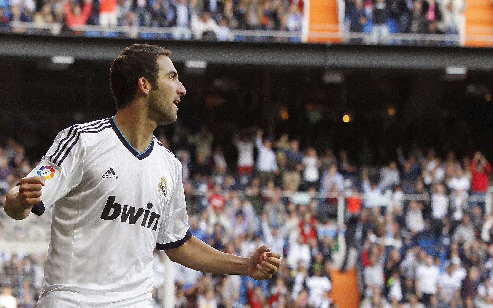 美洲杯的比赛战术分析报告,美洲杯总结