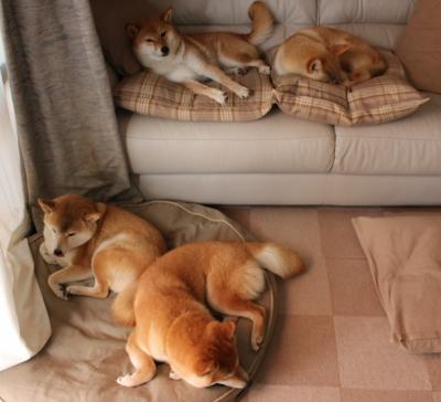 西亚卡姆传球视野开阔提升全队配合,西亚卡姆有潜力吗